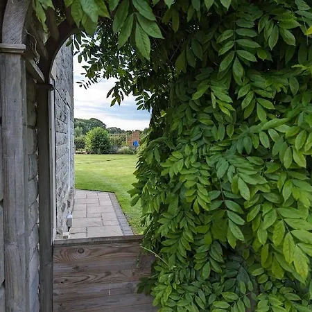 Millfield *