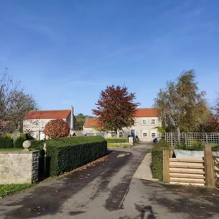 Millfield *